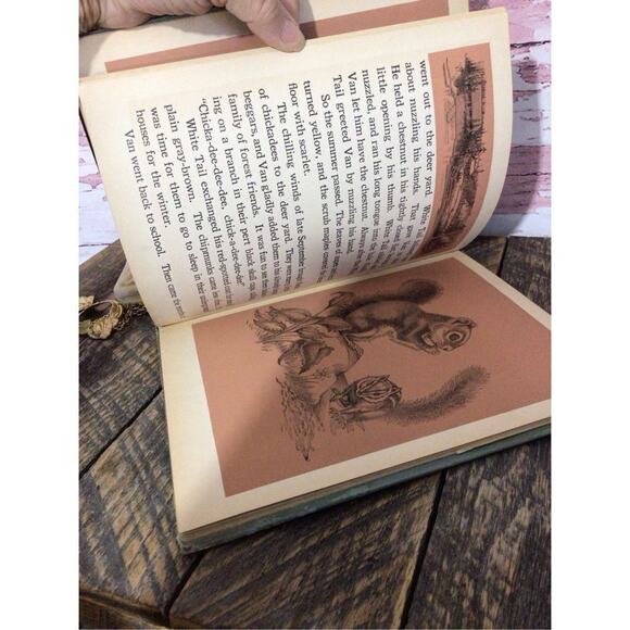 1938 First Edition “White Tail King Of The Forest” By Nell Stolp Smock - Picture 10 of 15